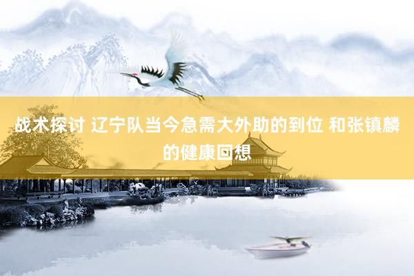 战术探讨 辽宁队当今急需大外助的到位 和张镇麟的健康回想