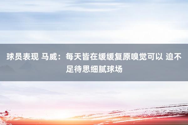 球员表现 马威：每天皆在缓缓复原嗅觉可以 迫不足待思细腻球场