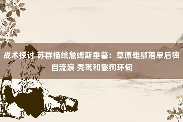 战术探讨 苏群描绘詹姆斯垂暮：草原雄狮落单后独自流浪 秃鹫和鬣狗环伺