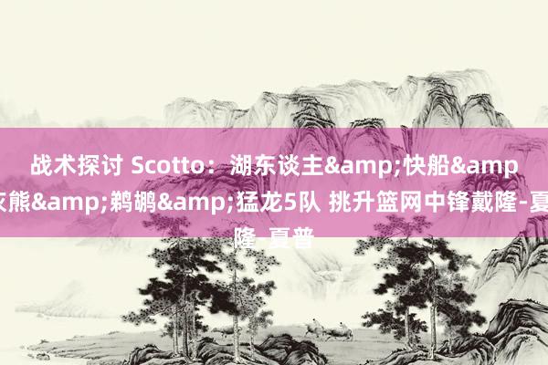 战术探讨 Scotto：湖东谈主&快船&灰熊&鹈鹕&猛龙5队 挑升篮网中锋戴隆-夏普